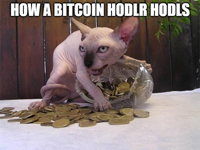 How a bitcoin hodlr hodls cat meme