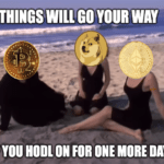 Wilson Phillips Hodl On Album Cover Meme