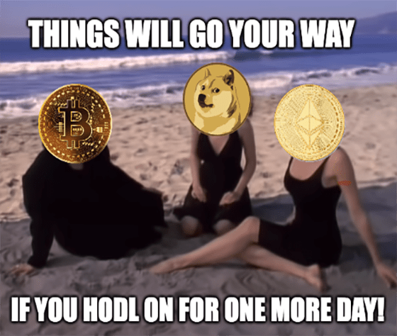 Crypto Hodl Meme
