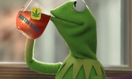 Kermit tea Boston Beer cannabis drink meme
