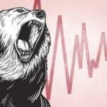 Have You Actually Seen a True Bear?