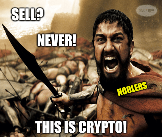 COIN Respites, Drone Delights & Free-Falling Flights