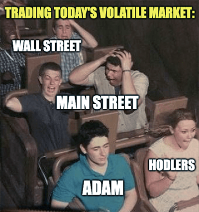 Trading Volatility Wall Street Adam Meme