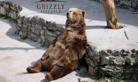 Grizzly Research Nio Accounting Game Meme