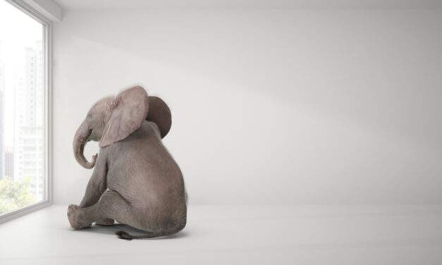 The $450 Billion Elephant in the Room