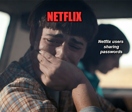 Netflix Stranger Things password sharing meme