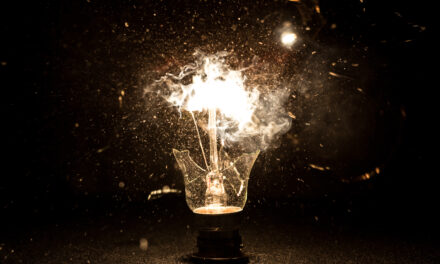 "boring" stocks in Alpha invester portfolio are knocking lights out