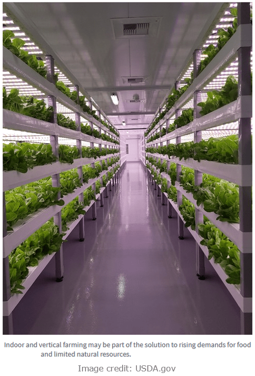vertical next gen farming