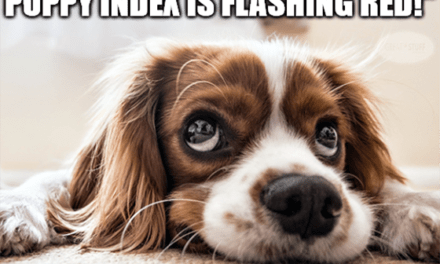 Fluffy puppy index flashing red Chewy earnings meme