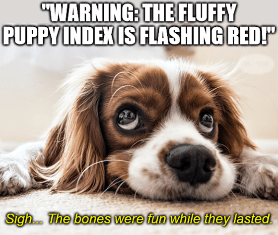 Fluffy puppy index flashing red Chewy earnings meme
