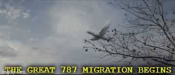 787 migration plane flying Boeing gif