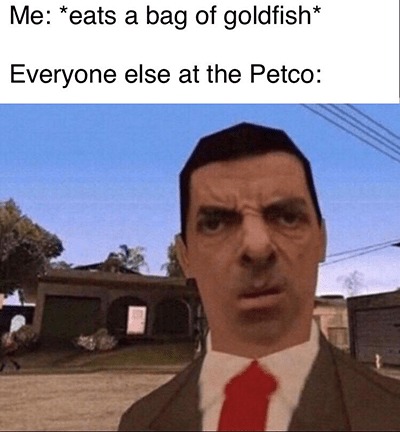 Eats bag goldfish everyone at Petco meme