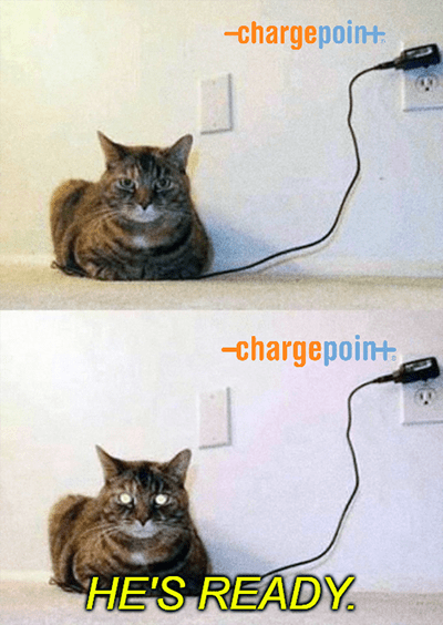 ChargePoint charging EV cat meme