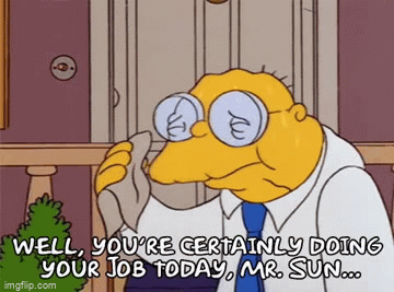 Sunpower certainly doing your job gif