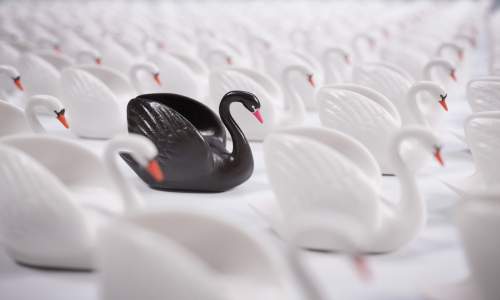 Options Arena: The Next Black Swan