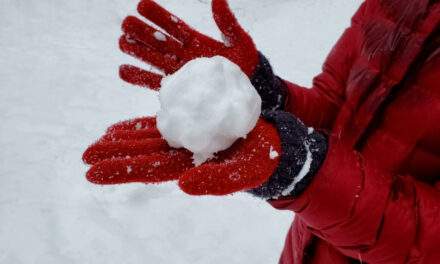 Snowball to $100 Billion
