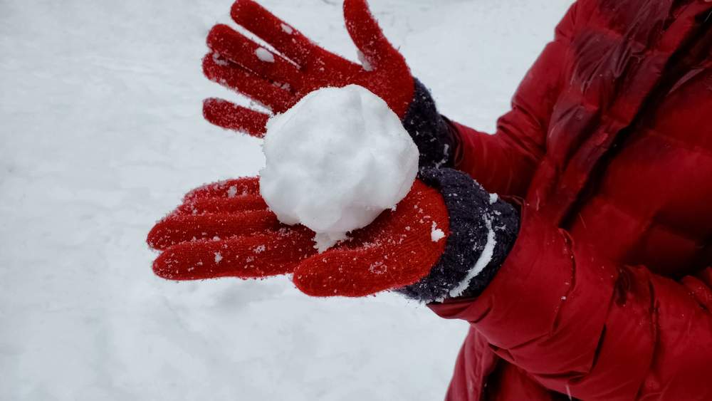 Snowball to $100 Billion