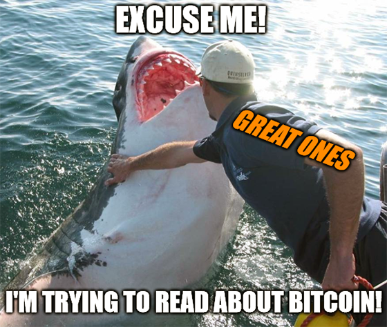 Shark MicroStrategy buying bitcoin meme