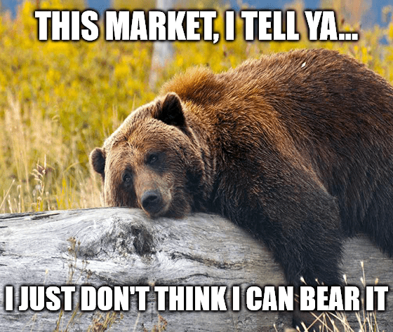 This bear market can't bear it meme