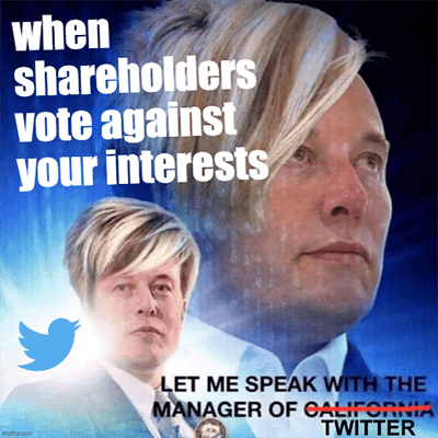 shareholders vote for Twitter buyout Elon Musk meme