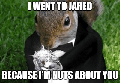 Jared Squirrel diamond ring nuts about you meme
