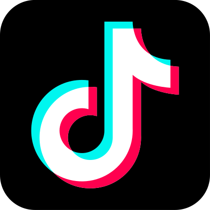 Tiktok Icon