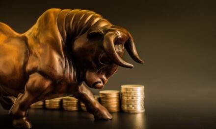 Dead Cat or New Bull Market? Play the Bounce Either Way