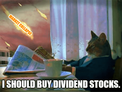 I should buy dividend stocks cat meme