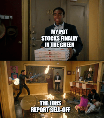 jobs report pot stocks in the green fire meme
