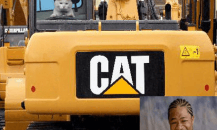 Yo dawg heard you like Cat Caterpillar stock meme