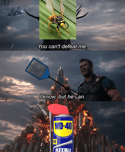 WD-40 best wasp spray can't defeat me meme