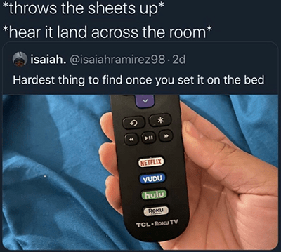 Roku remote goes flying can't find meme