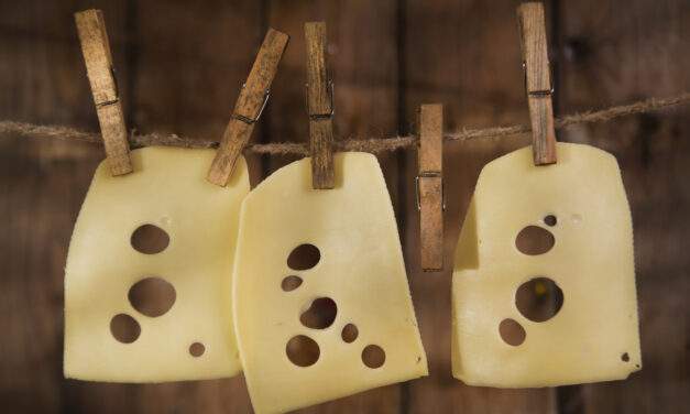 Making Swiss Cheese Out of Economist Ideas