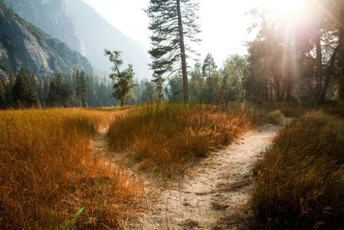 Short-Term Trading: A Moneymaking Path Few Dare to Tread