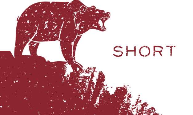 The Next Big Short: How You Can Dodge Another Financial Crisis