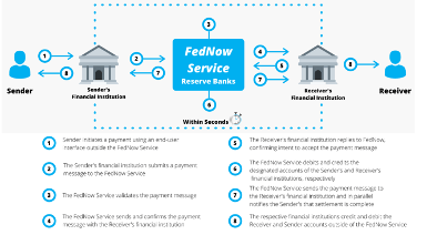 Federal Reserve & its Central Bank Digital Currency Federal Reserve FedNow central bank digital currency.