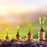 Investing strategy: Why you should partner with CEOs