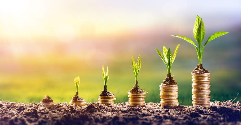 Investing strategy: Why you should partner with CEOs