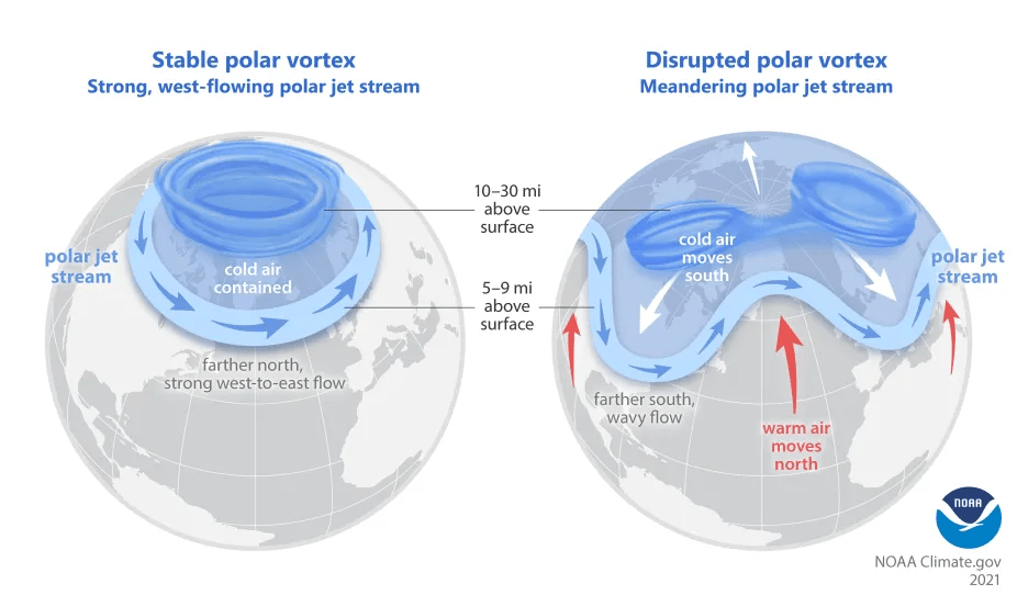 Polar Jet Streams