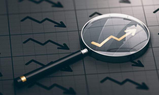 Watch a CEO During Earnings Season for When to Invest