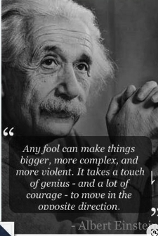 Albert Einstein Quote