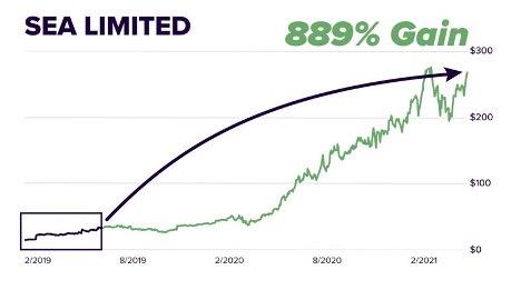 Sea Limited (NYSE - SE) 889% stock gains.