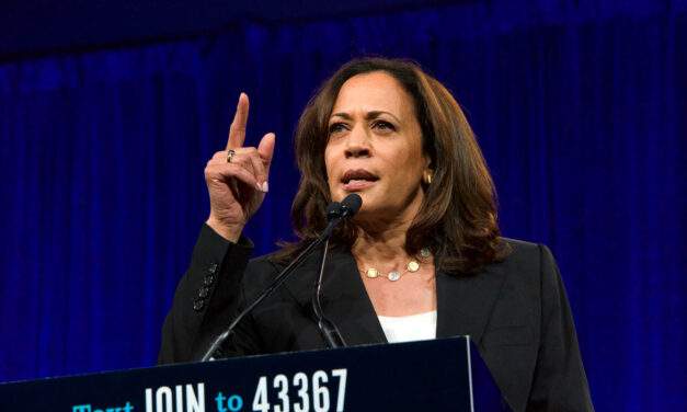 How to Prime Your Portfolio for a Harris Win in November