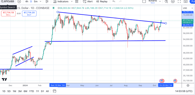 Chart of bitcoin in 2024