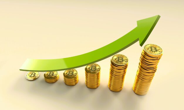 Bitcoin $49 Million?!?