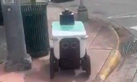 Are delivery robots the harbingers of a robot revolution?