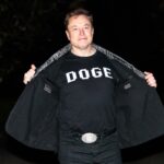 How is Elon Musk embedding his companies into the federal governmnet?
