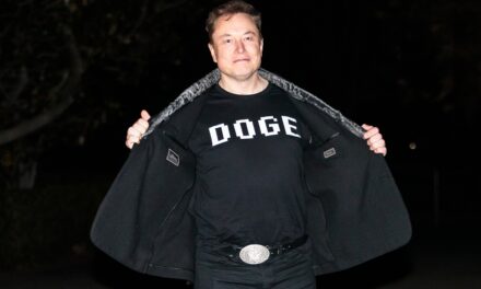 How is Elon Musk embedding his companies into the federal governmnet?