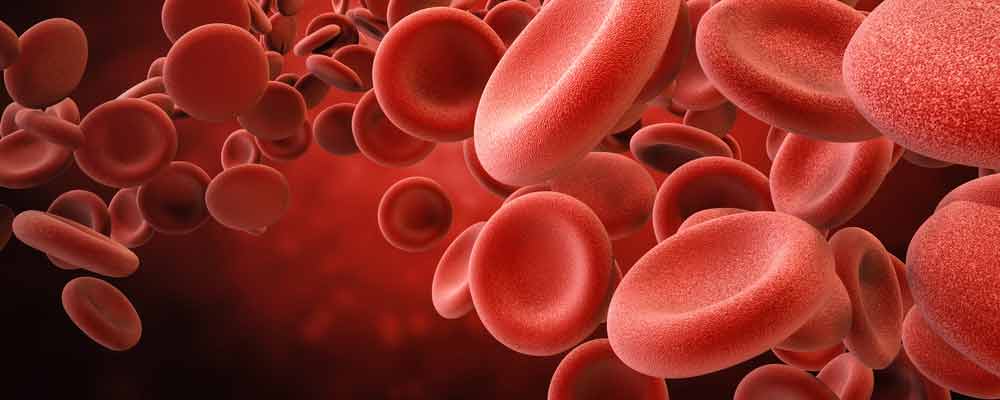There is currently a severe shortage of blood in the United States. However, there's a medical breakthrough that could be a solution in the near future.