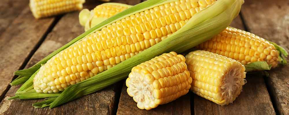 Right now, the fear level in corn is the highest it’s been in four years. That means it’s probably a good time to speculate on it.